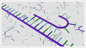II. Hybridization